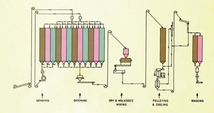 Cattle &amp; Poultry Feed Plant