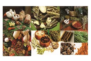 Ayurvedic &amp; Herbal Products